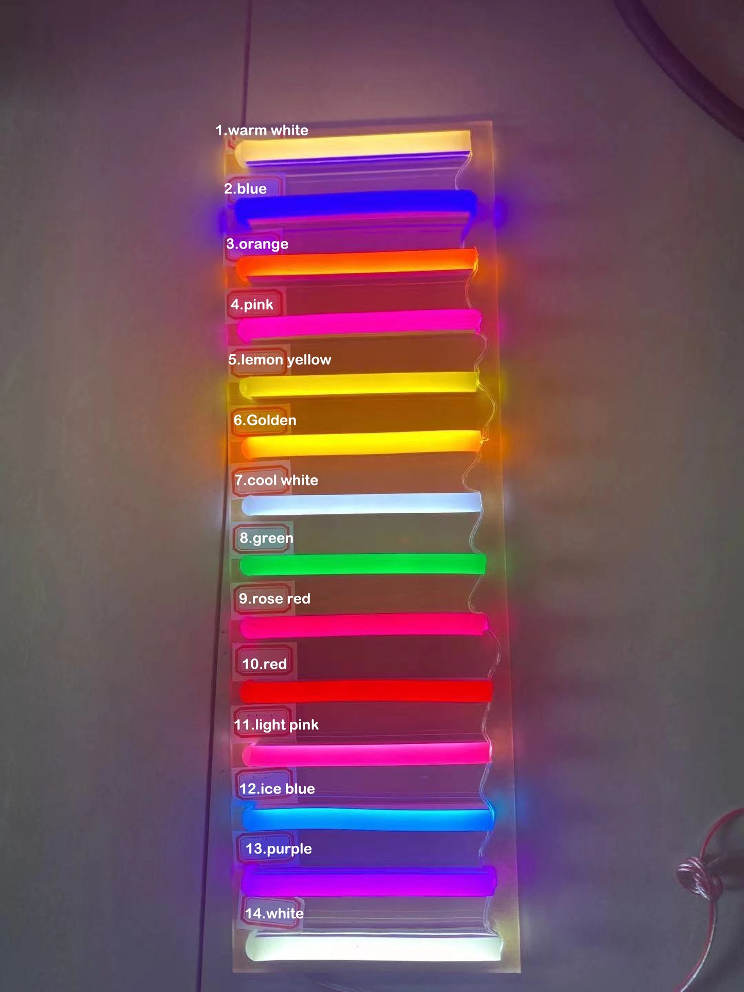 Gay Couple Body Neon Sign